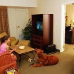 homewood suites - pet friendly - golf packages pinehurst